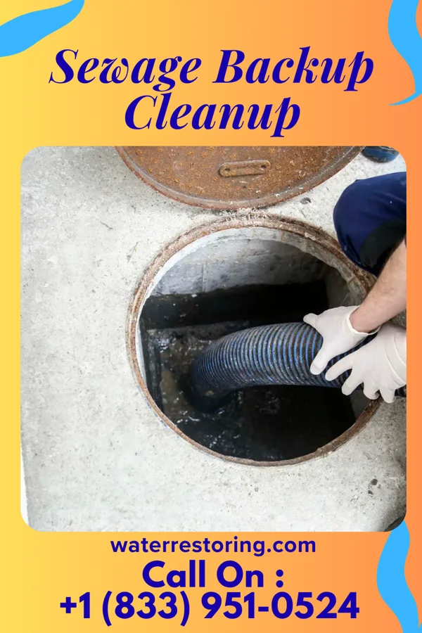 Sewage Backup Cleanup in Lynchburg, MS